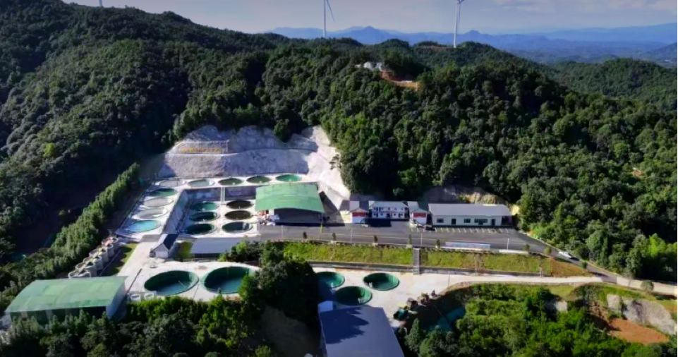 尊龙抖圈 - 为du而生